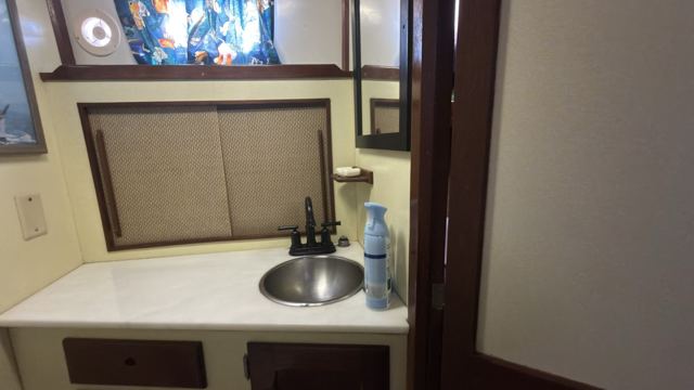 Head vanity and sink